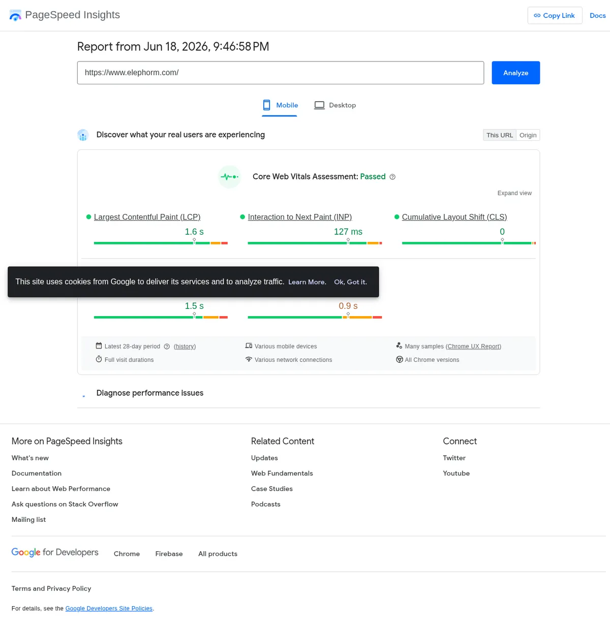 Rapport PageSpeed Insights mobile — les Core Web Vitals mesurés