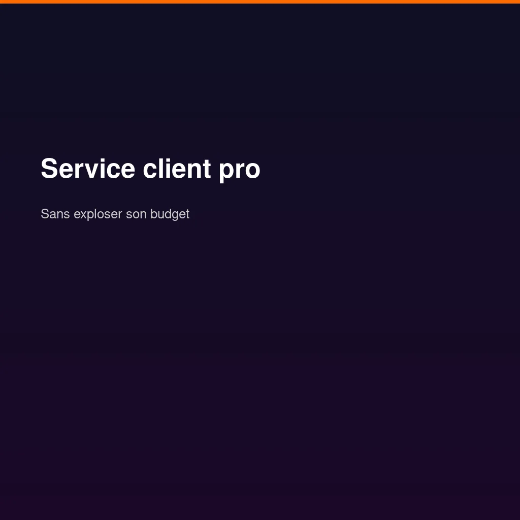 Comment offrir un service client professionnel avec un petit budget ?
